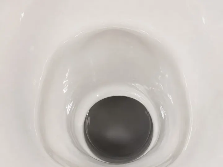WC propre après débouchage